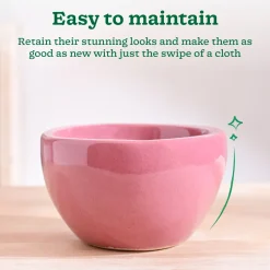 Nature's Hum Fat Ceramic Planter