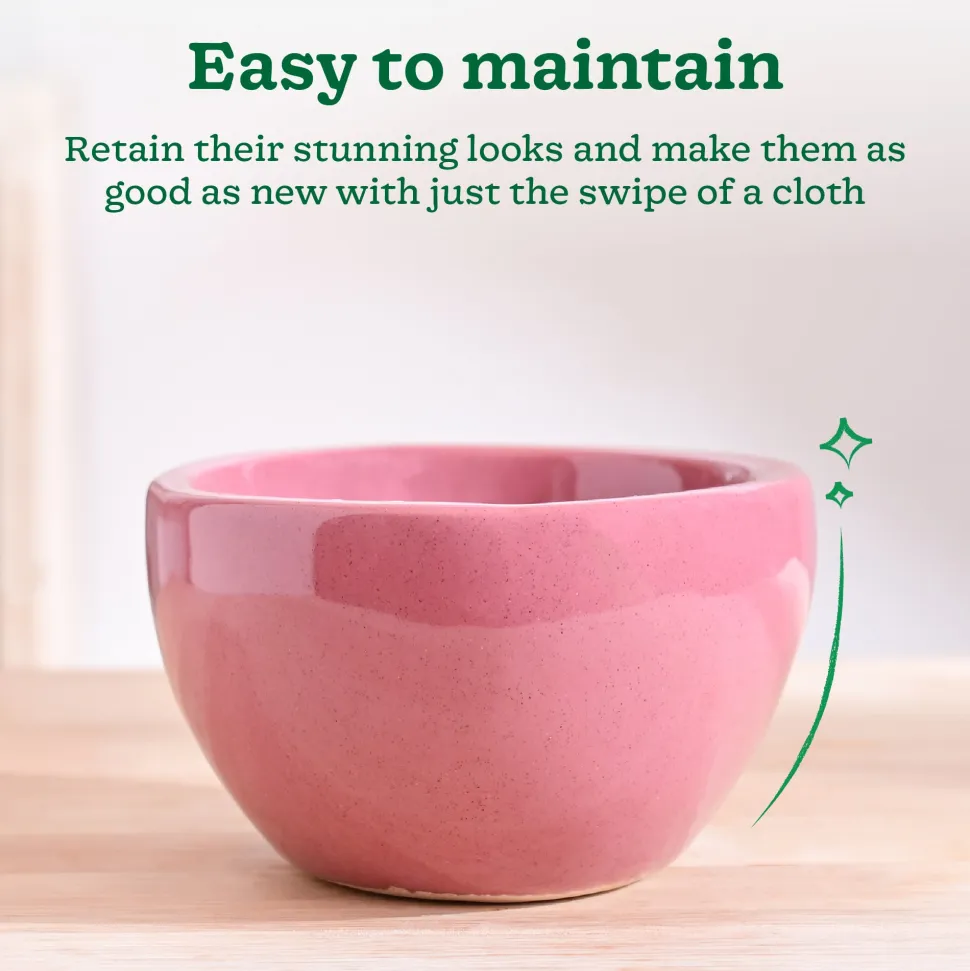 Nature's Hum Fat Ceramic Planter