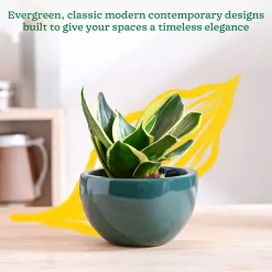 Nature's Hum Fat Ceramic Planter