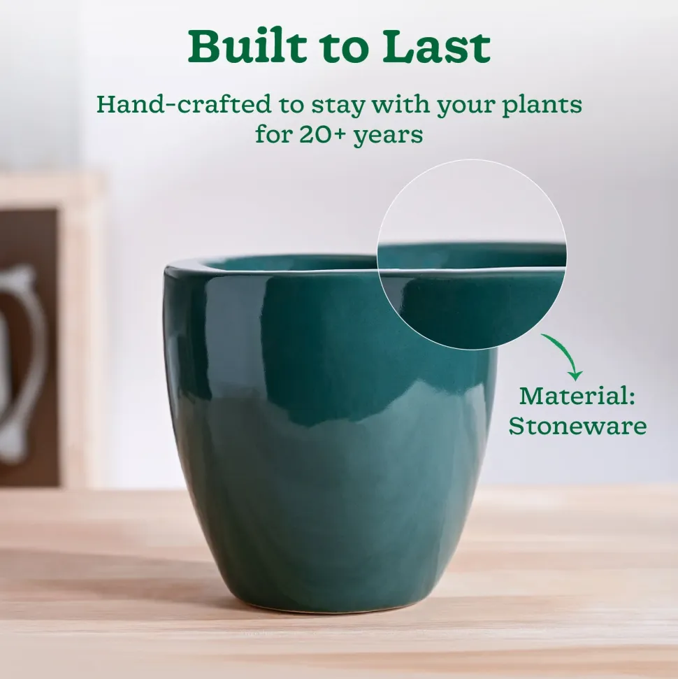 Nature's Hum Slim Ceramic Planter