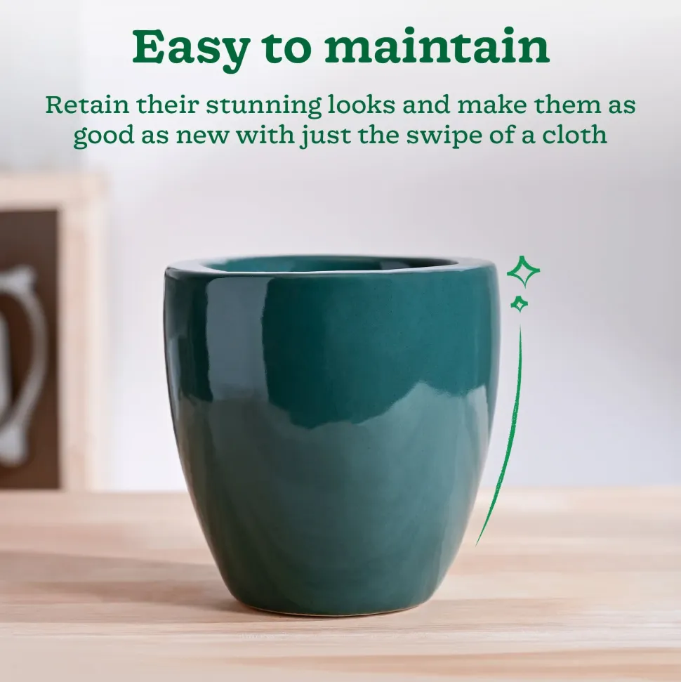 Nature's Hum Slim Ceramic Planter