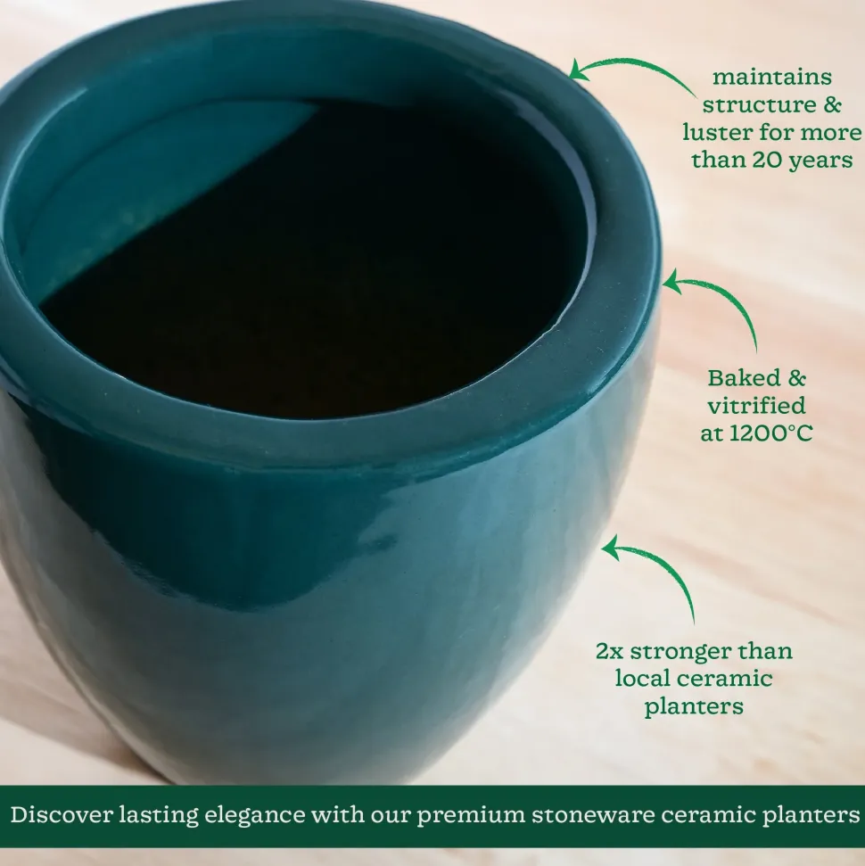 Nature's Hum Slim Ceramic Planter