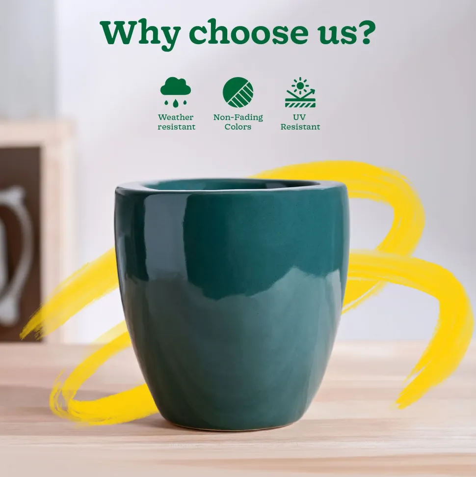 Nature's Hum Slim Ceramic Planter
