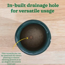 Nature's Hum Slim Ceramic Planter