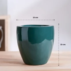 Nature's Hum Slim Ceramic Planter
