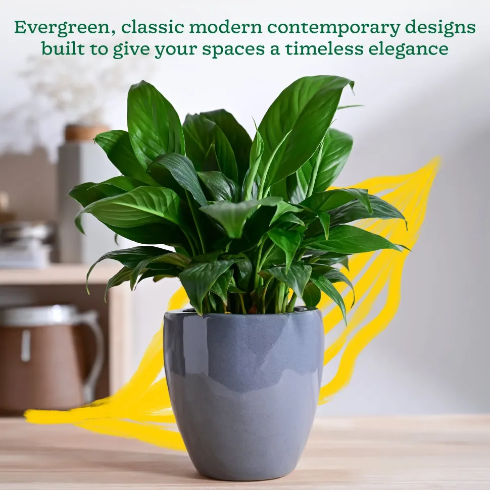 Nature's Hum Slim Ceramic Planter