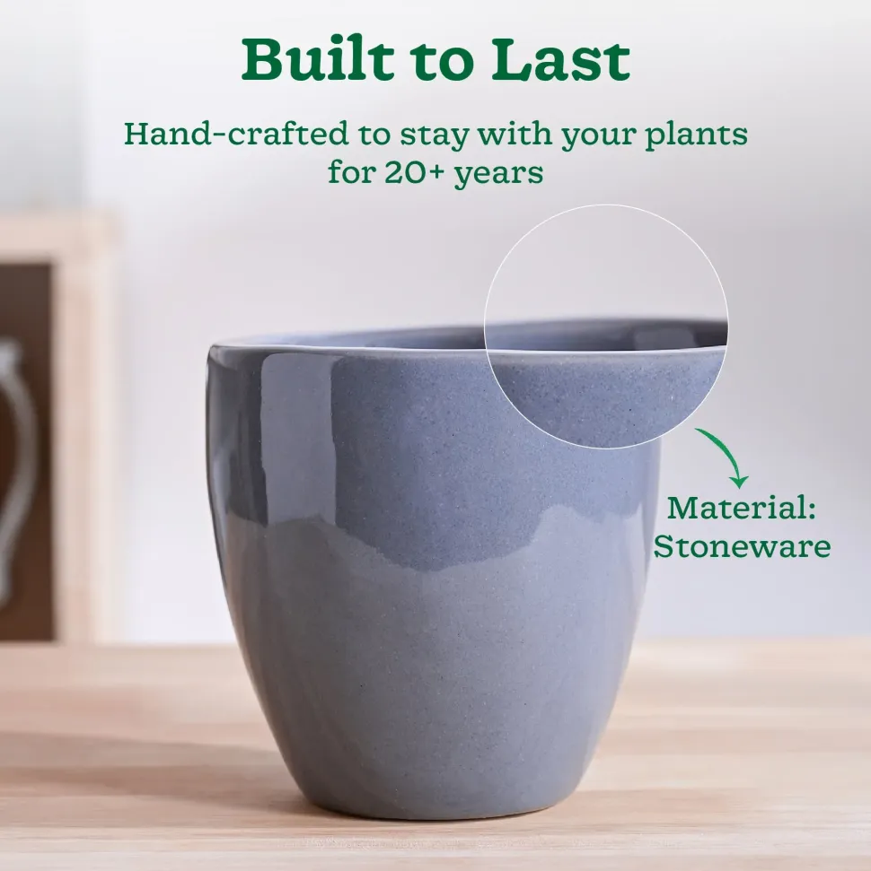 Nature's Hum Slim Ceramic Planter