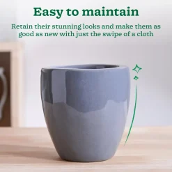 Nature's Hum Slim Ceramic Planter