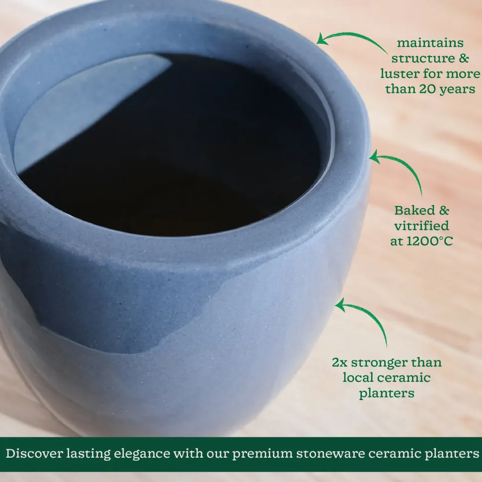 Nature's Hum Slim Ceramic Planter