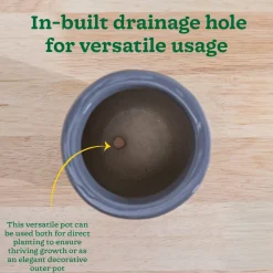 Nature's Hum Slim Ceramic Planter