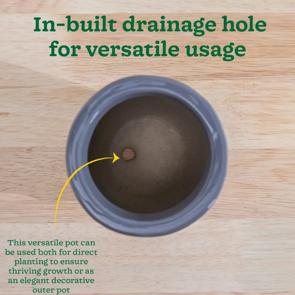 Nature's Hum Slim Ceramic Planter