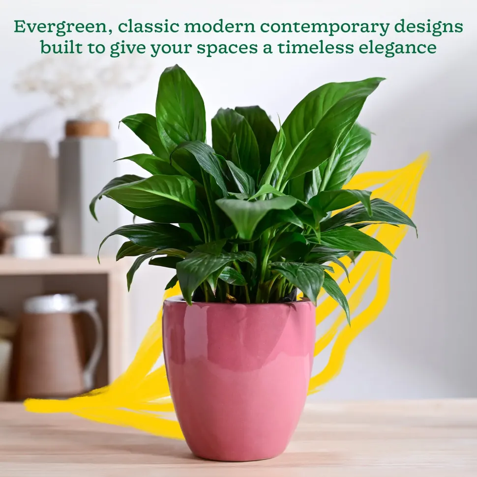 Nature's Hum Slim Ceramic Planter