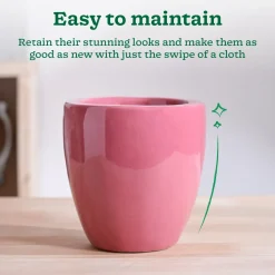 Nature's Hum Slim Ceramic Planter