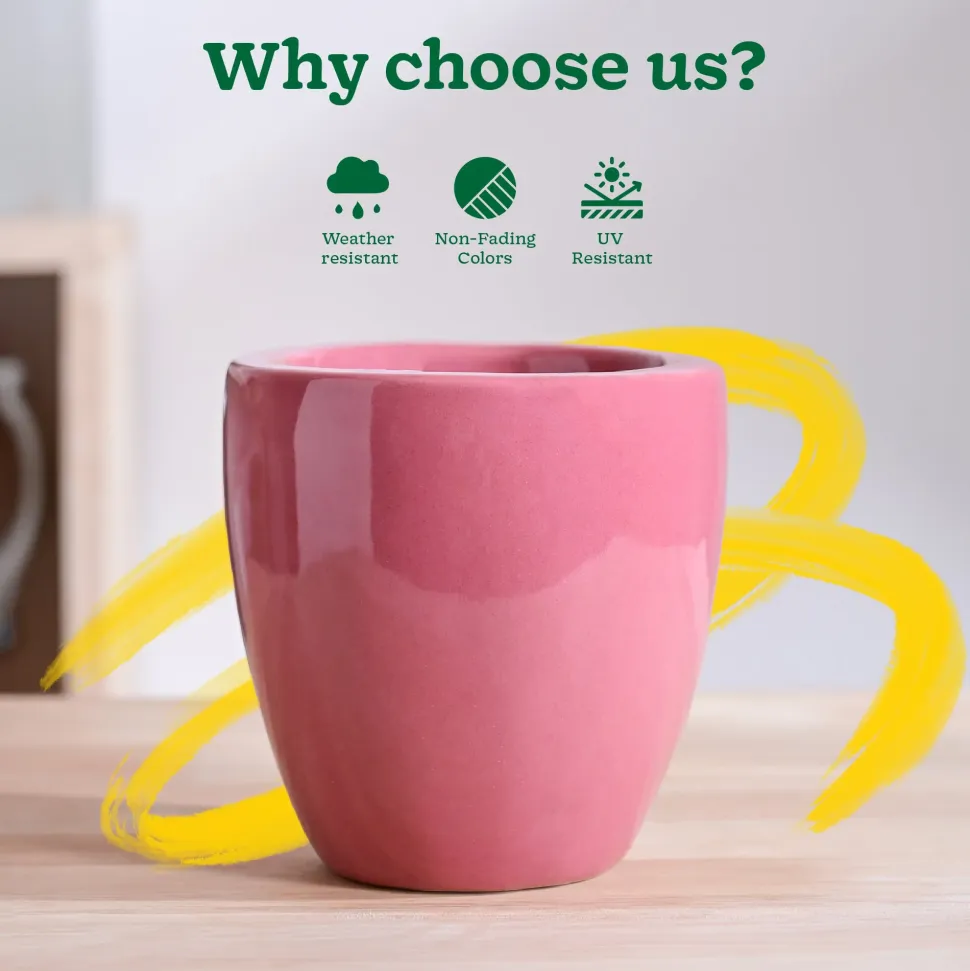 Nature's Hum Slim Ceramic Planter