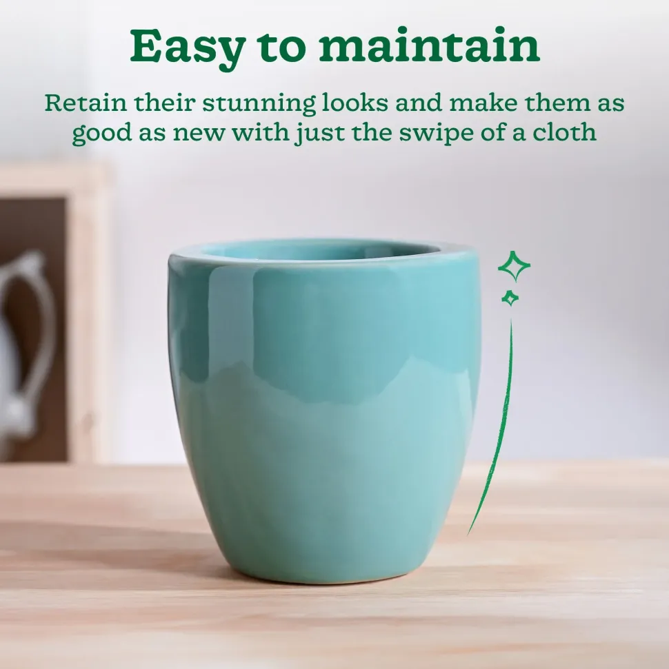 Nature's Hum Slim Ceramic Planter