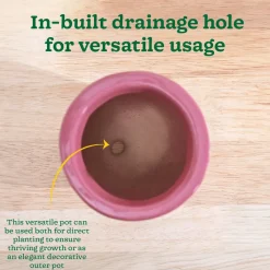 Nature's Hum Slim Ceramic Planter