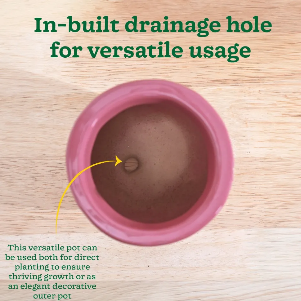 Nature's Hum Slim Ceramic Planter