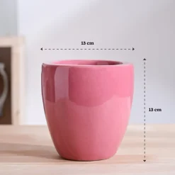 Nature's Hum Slim Ceramic Planter
