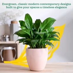 Nature's Hum Slim Ceramic Planter