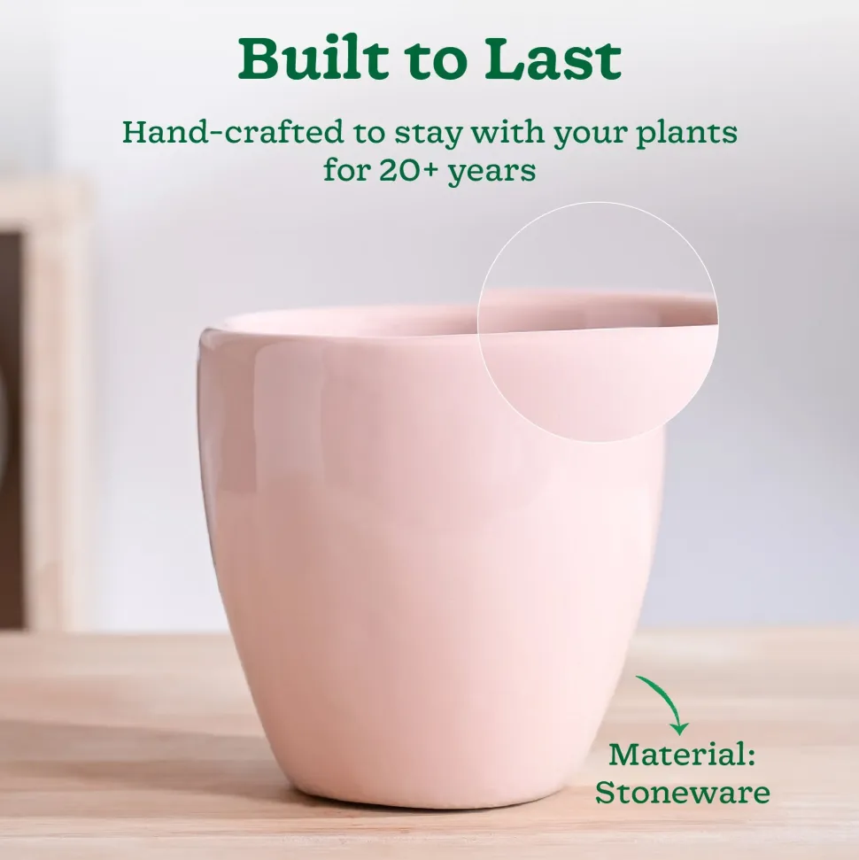 Nature's Hum Slim Ceramic Planter