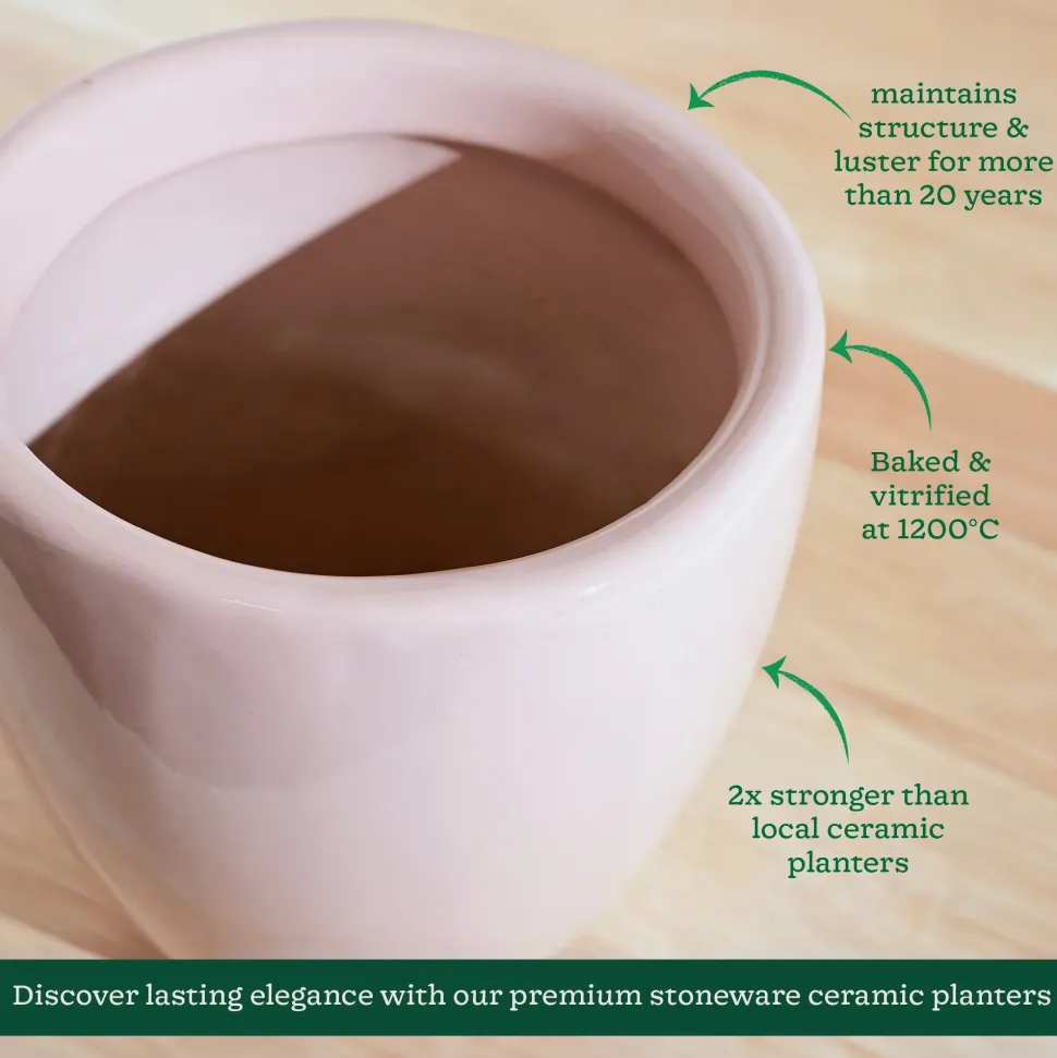 Nature's Hum Slim Ceramic Planter