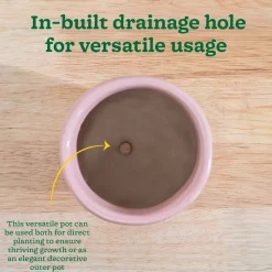 Nature's Hum Slim Ceramic Planter