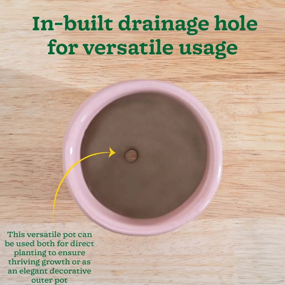 Nature's Hum Slim Ceramic Planter