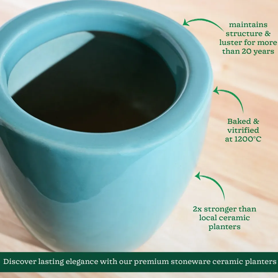 Nature's Hum Slim Ceramic Planter