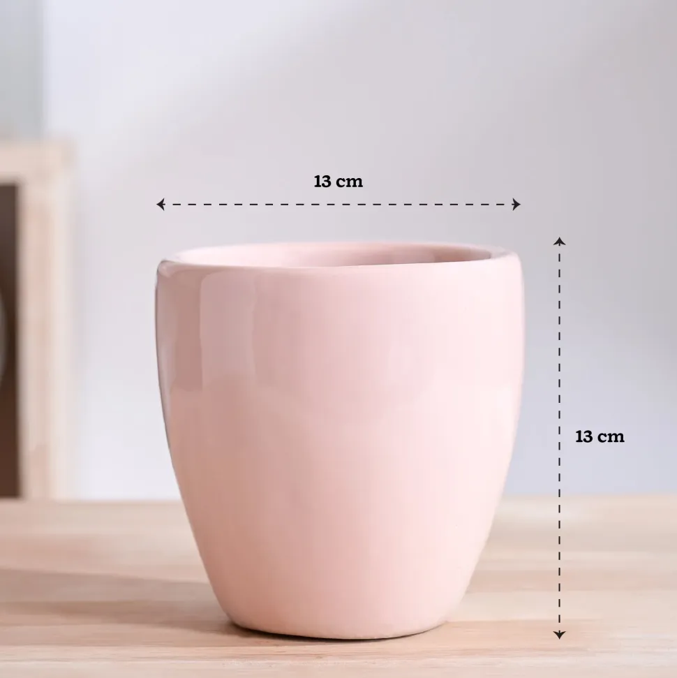 Nature's Hum Slim Ceramic Planter