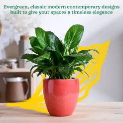 Nature's Hum Slim Ceramic Planter