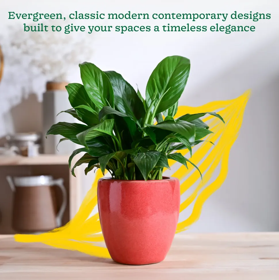 Nature's Hum Slim Ceramic Planter