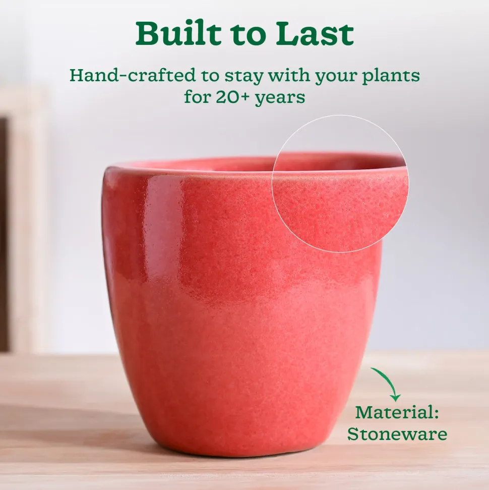 Nature's Hum Slim Ceramic Planter