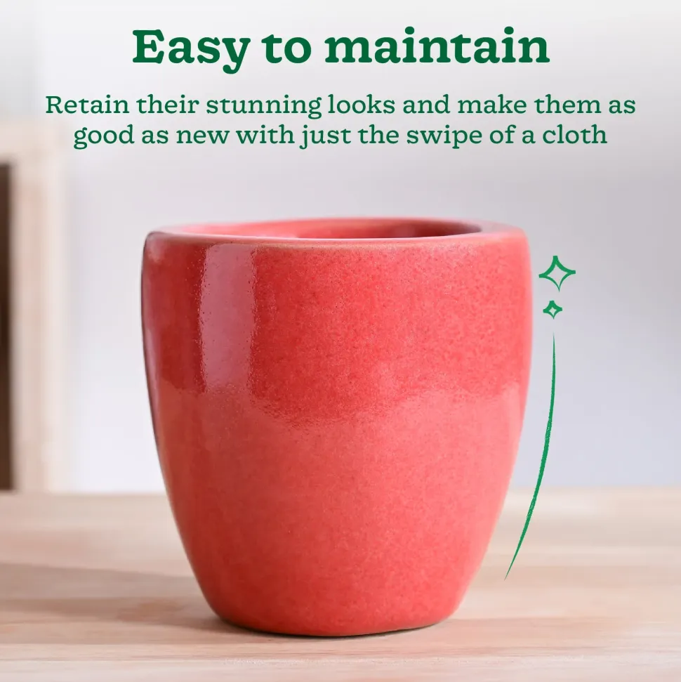 Nature's Hum Slim Ceramic Planter