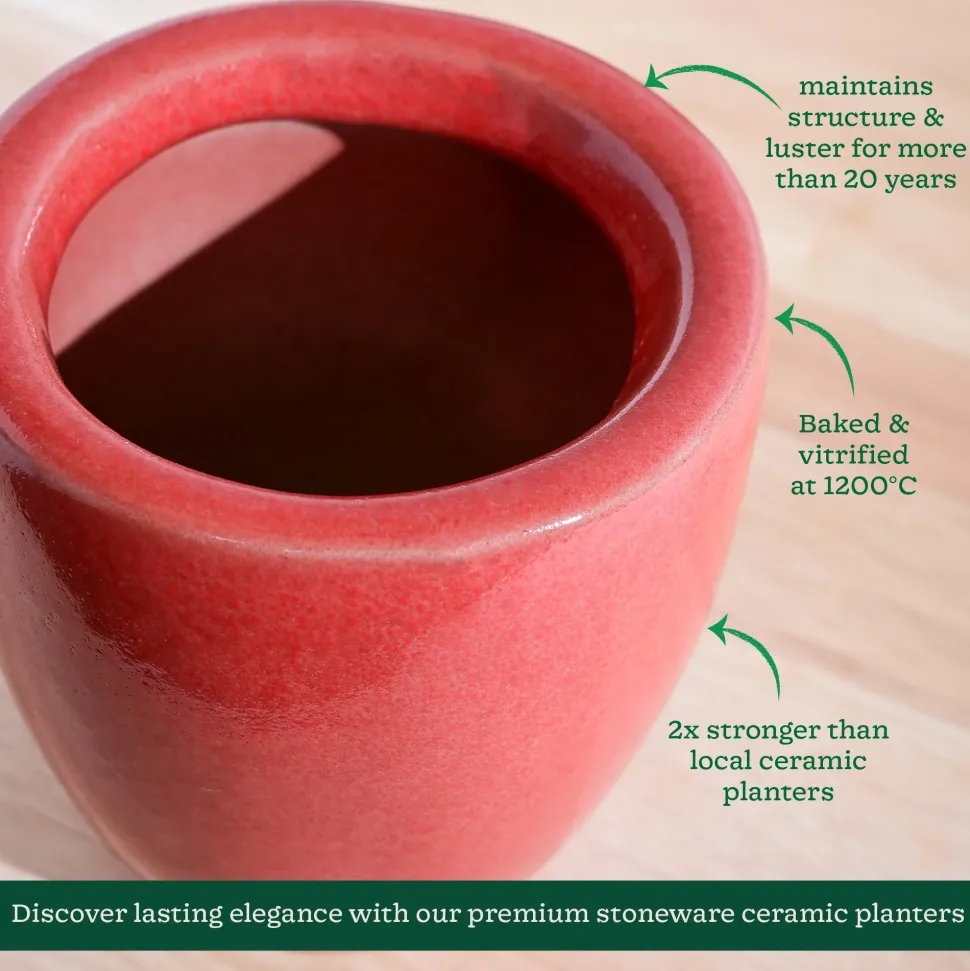 Nature's Hum Slim Ceramic Planter