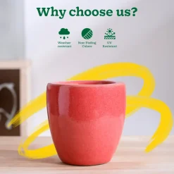 Nature's Hum Slim Ceramic Planter