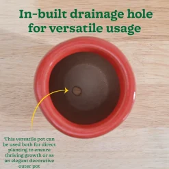 Nature's Hum Slim Ceramic Planter