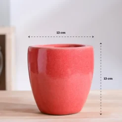 Nature's Hum Slim Ceramic Planter
