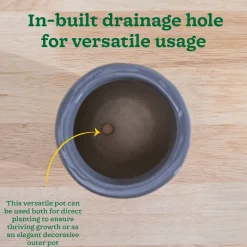 Nature's Hum Slim Ceramic Planter