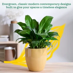 Nature's Hum Slim Ceramic Planter