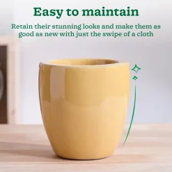 Nature's Hum Slim Ceramic Planter
