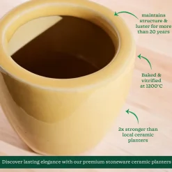 Nature's Hum Slim Ceramic Planter