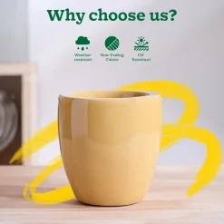 Nature's Hum Slim Ceramic Planter