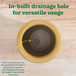 Nature's Hum Slim Ceramic Planter