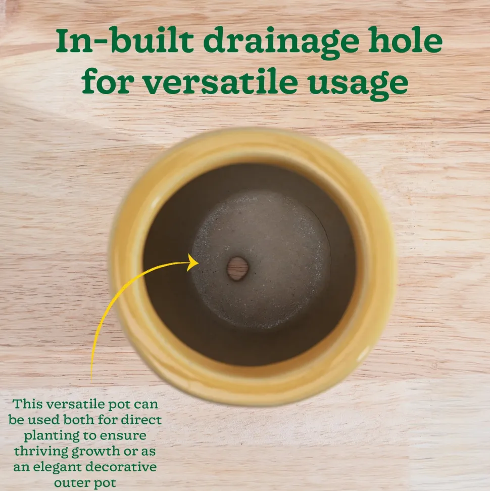 Nature's Hum Slim Ceramic Planter