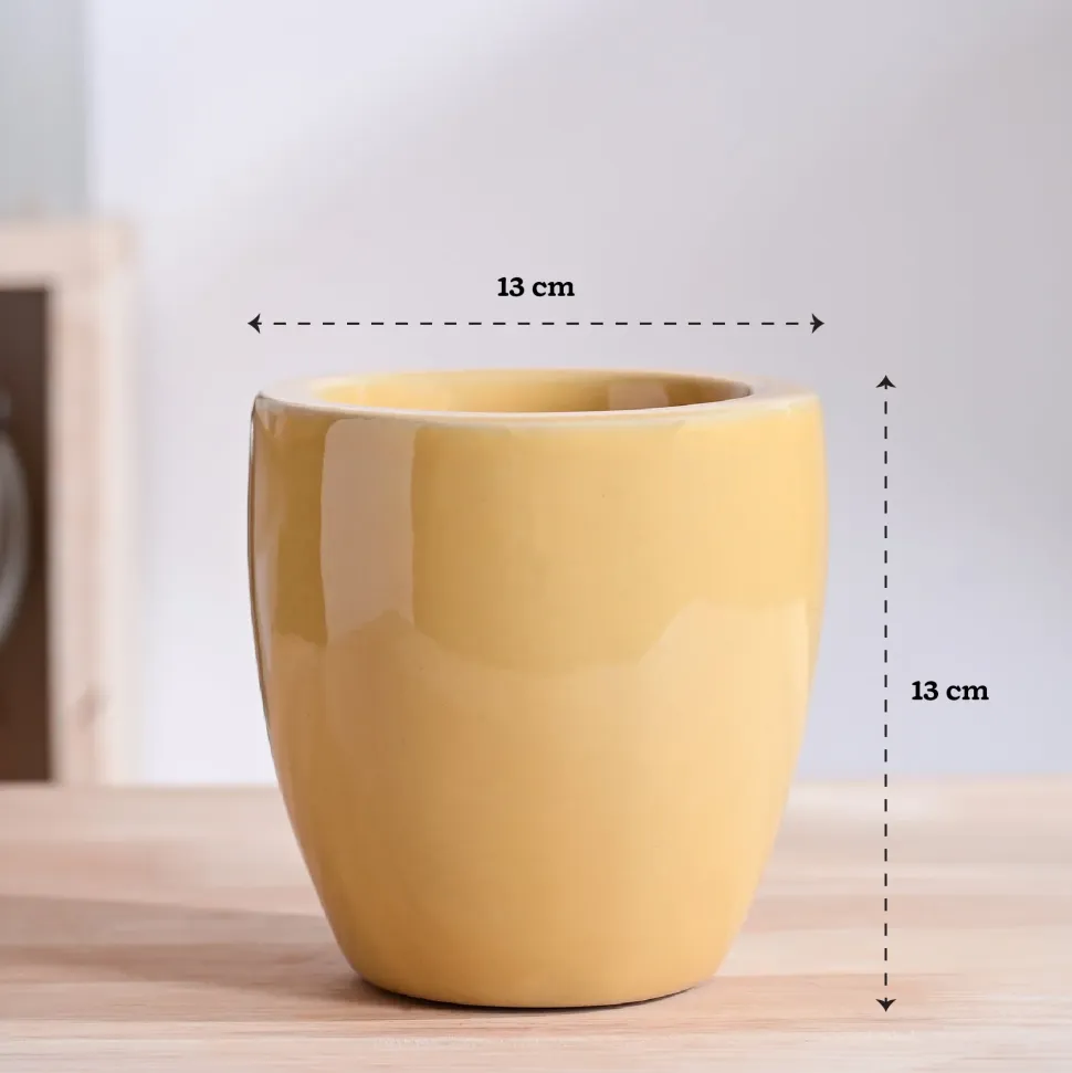 Nature's Hum Slim Ceramic Planter