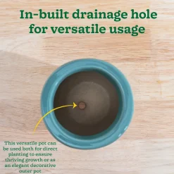 Nature's Hum Slim Ceramic Planter