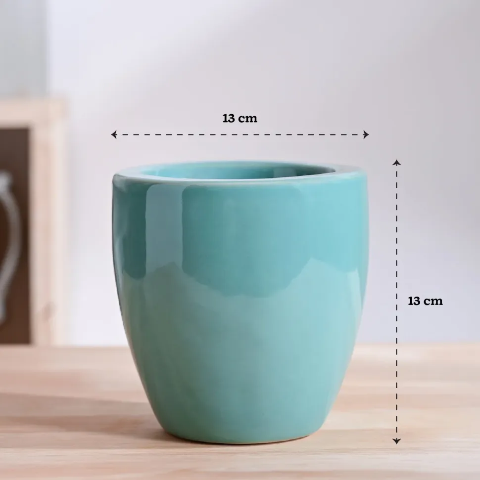Nature's Hum Slim Ceramic Planter