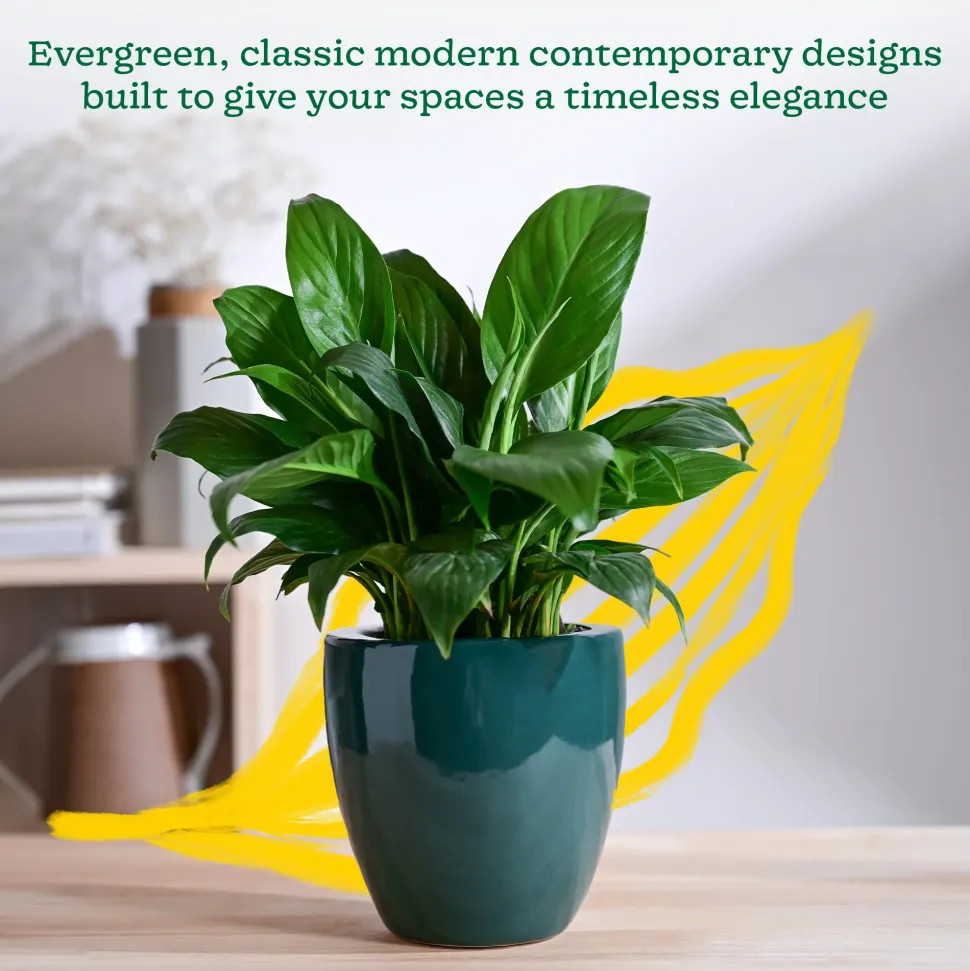Nature's Hum Slim Ceramic Planter