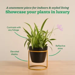 Nyx Planter
