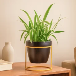 Nyx Planter